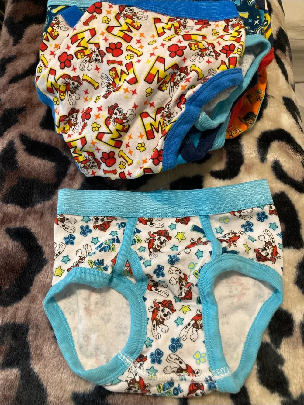 12 PAW Patrol Kids Briefs - Blue/Red/Yellow Character Underwear